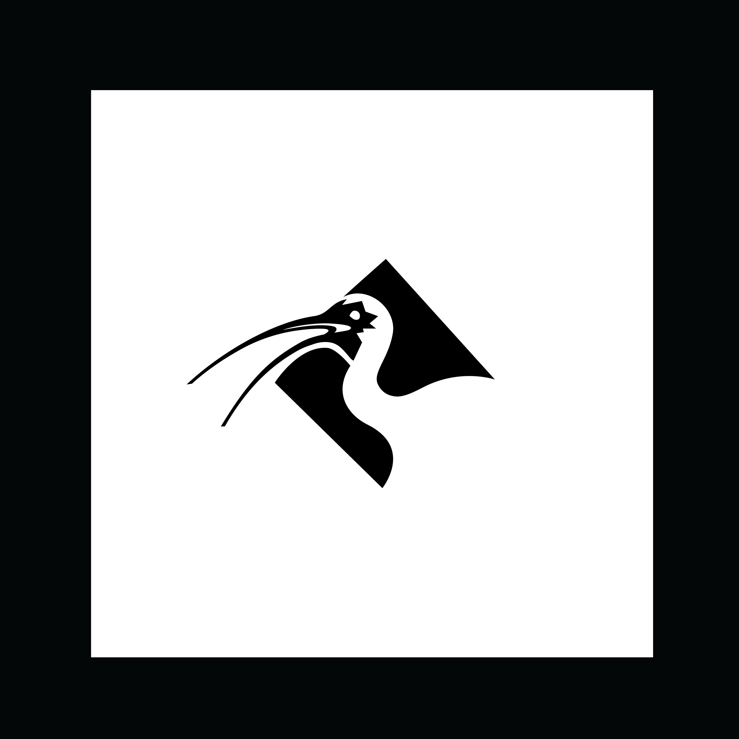 Project 6 thumbnail 16